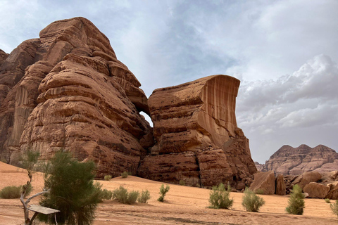 Wadi Rum : Visite privée de quatre heures en jeep avec des bédouins