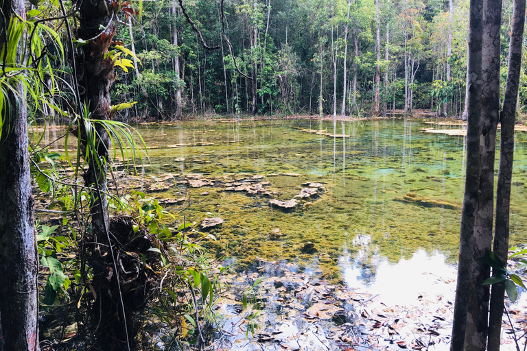 Krabi: viagem de meio dia à piscina esmeralda e cachoeira de fontes termais