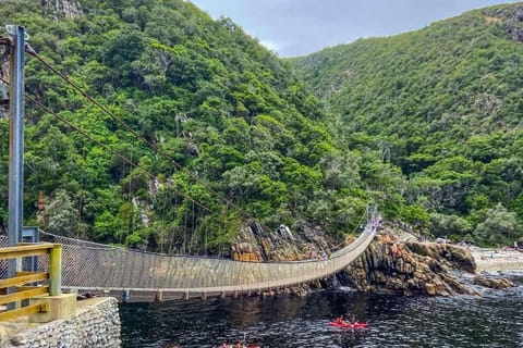 From Cape Town: GARDEN ROUTE TOUR - 3 DAYS