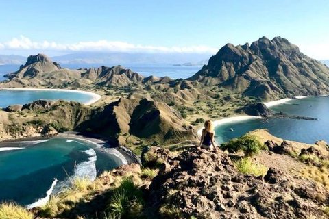 Da Bali: Tour dell&#039;Isola di Komodo di 2 giorni e 1 notte con volo