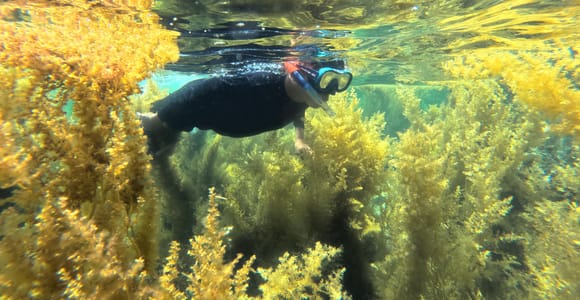 Nha Trang Snorkeling, Floating Bar, Mud Bath and BBQ Lunch
