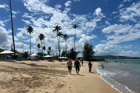 El Yunque Rainforest; Waterslides, Beach, Dine and Shop Tour El Yunque Rainforest Waterslides and Beach Tour