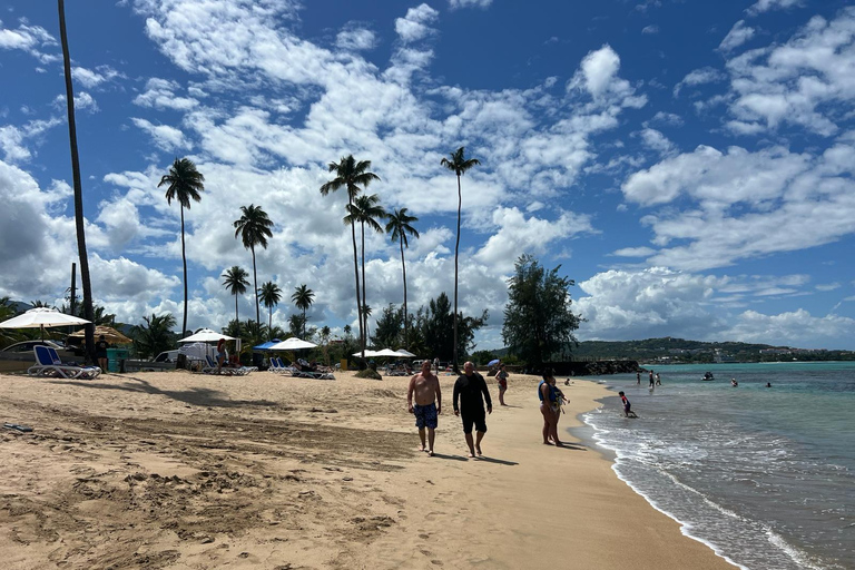 El Yunque Rainforest; Waterslides, Beach, Dine and Shop Tour El Yunque Rainforest Waterslides and Beach Tour