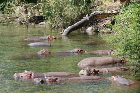 From Mombasa: Tsavo East National Park Safari