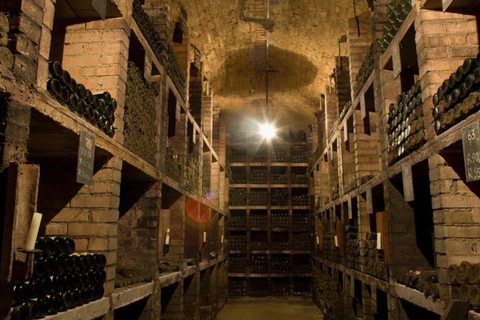 Dégustation et visite de petits vignobles biologiques avec un vigneron