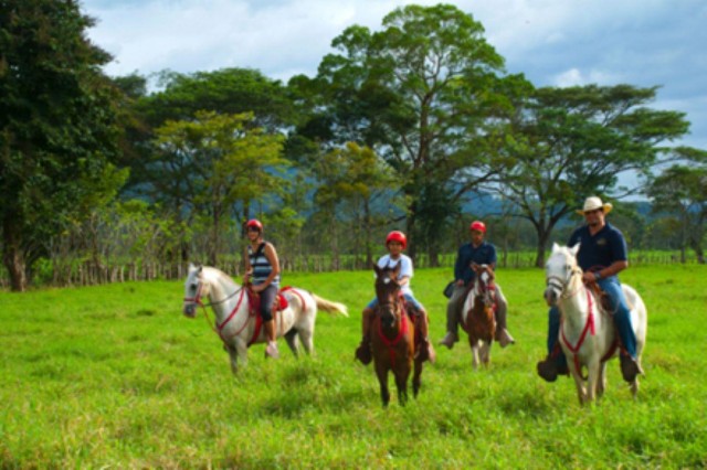 Visit From Jaco Horseback Riding in Hacienda Nosavar in Jacó, Costa Rica