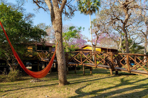 São Paulo: 3-Day Eco Safari Experience in the Pantanal