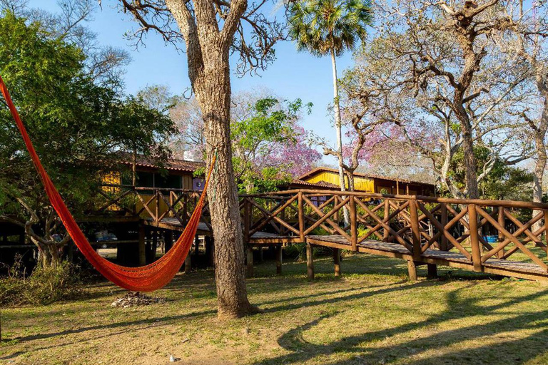 São Paulo: 3-Day Eco Safari Experience in the Pantanal