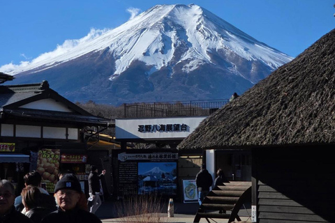From Tokyo: Mt. Fuji & Hakone Private Scenic Day Tour