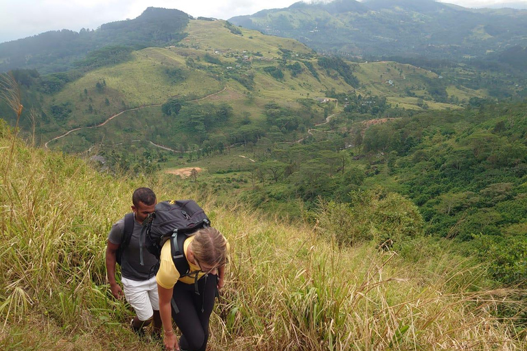 Kandy: Hanthana Lizard’s Back Hike