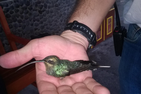 San José: La Fortuna Transfer with Coffee Tour at Doka Farm