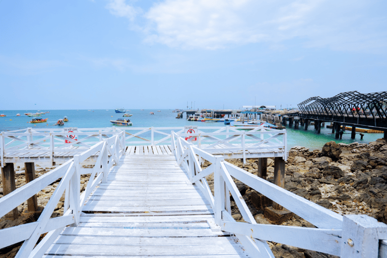 Pattaya: Coral Island Speedboat Tour with Lunch and Transfer Coral Island Tour with Speedboat & Indian Buffet Lunch