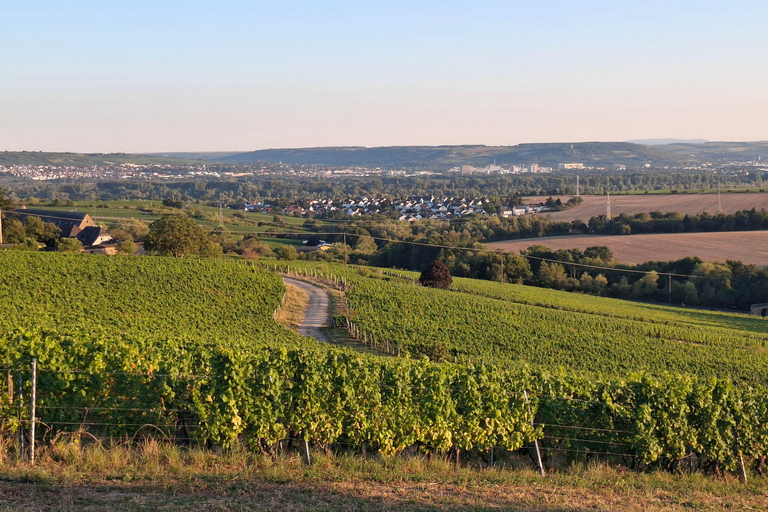 Rheingau: Wine Tour with Tasting