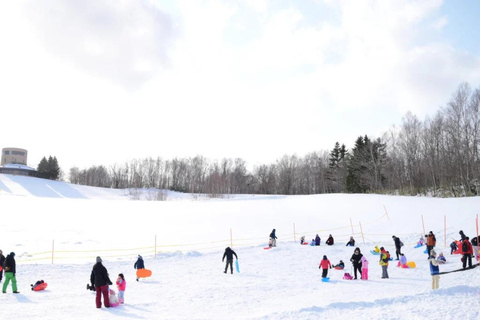 Sapporo: Lake Shikotsu Ice Festival, Snow Fun & Buddha Tour Shared Tour, Meet at Sapporo Station