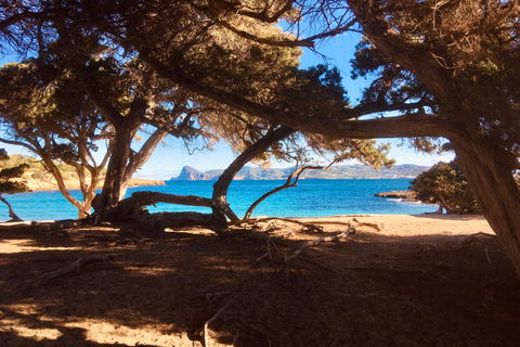 Excursion à Ibiza - Visite privéeExcursion à terre Ibiza - Visite privée