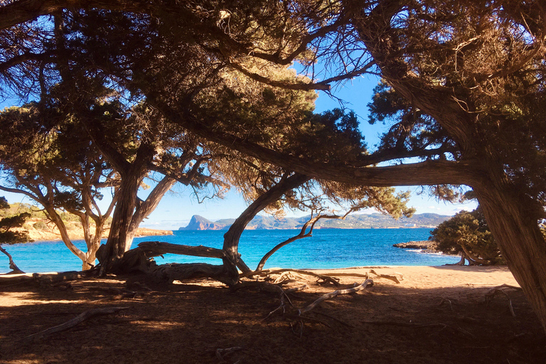 Excursion à Ibiza - Visite privéeExcursion à terre Ibiza - Visite privée