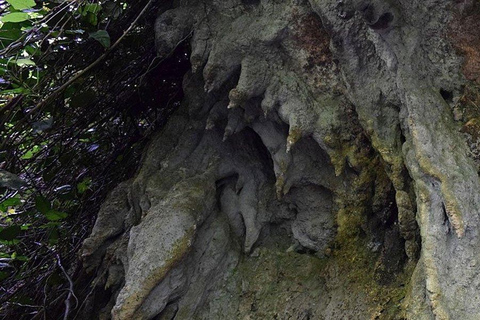 Uganda: Fort Portal Day Trip with Caves and Craters