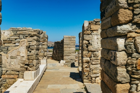 From Mykonos: Delos Guided Tour with Skip-the-Line Tickets Tour in French with Hotel Transfer