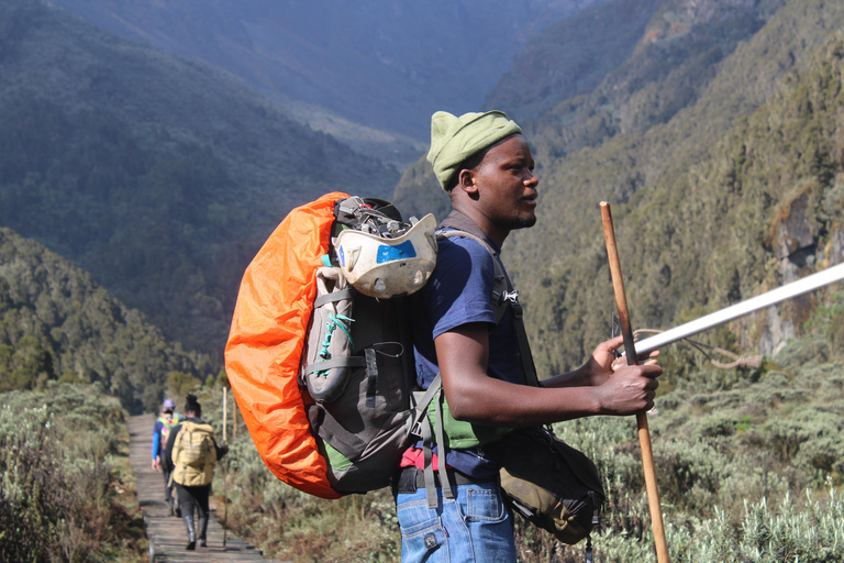 Uganda: Rwenzori Mountains Trekking Tour