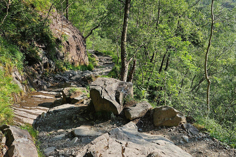 Fort William: Steall Falls and Nevis Gorge Guided Hike