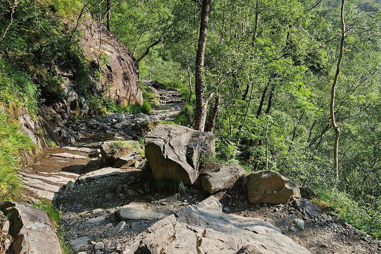 Fort William: Steall Falls and Nevis Gorge Guided Hike