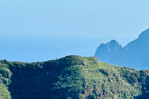 Tenerife: Anaga Hidden Gems Tour with Free Pickup Explore Anaga's hidden gem. Private tour.