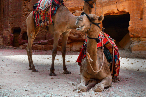 Aqaba: Trasferimento privato a Petra con Wi-Fi e acqua