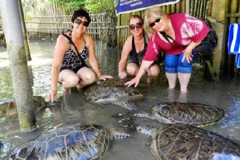 Bali : Île de la Tortue - Bateau à fond de verre avec dîner romantiqueVisite de l&#039;île de la Tortue en groupe sans dîner