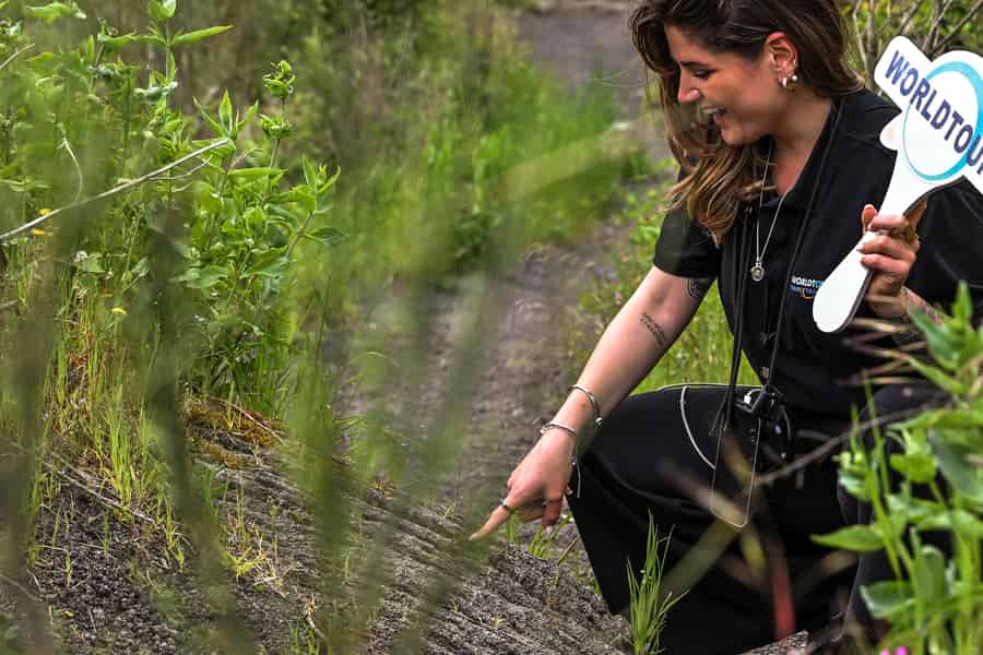 Neapel: Pompeji und Vesuv Kleingruppentour mit Mittagessen. Foto: GetYourGuide