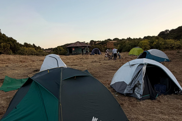 Exceptional Simien Mountains 3-Day Trekking Tour