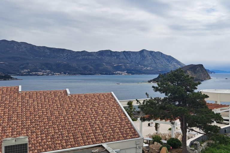 Desde Dubrovnik: Tour privado de un día a Montenegro