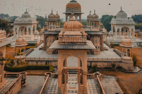 Visite citadine d&#039;une journée à Jaipur : fort d&#039;Amber, palais de la ville et guideJaipur : visite d&#039;une journée personnalisable avec voiture, chauffeur et guide