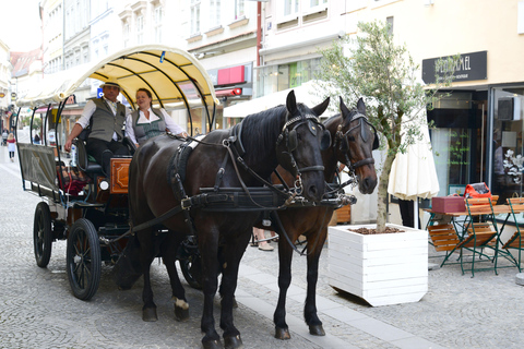 Krems: Guided Fiaker Tour KREMS: Guided Fiaker Tour