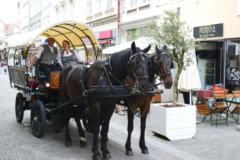 Krems: Guided Fiaker Tour KREMS: Guided Fiaker Tour