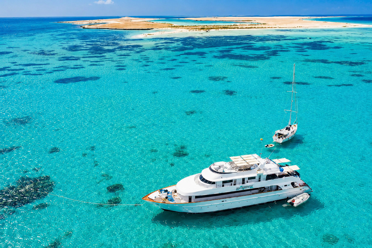 From Sharm: Ras Mohamed, White Island Snorkel & Dive & Lunch 1 Intro Dive Option Beginners & Professional