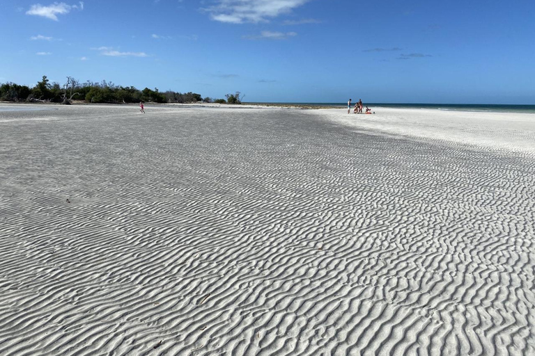 Key West: Passeio de barco privado pelo banco de areia e excursão para nadar