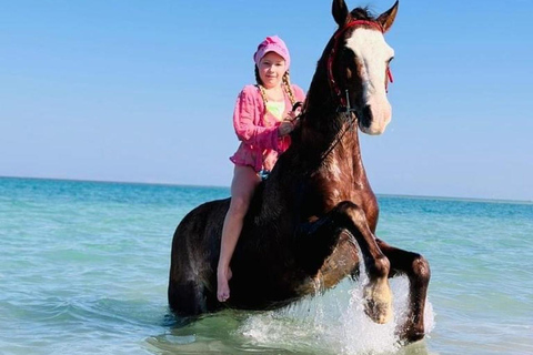 الغردقة: جولة ركوب الخيل في الصحراء والبحر مع خيار السباحةجولة لمدة ساعتين لركوب الخيل بدون السباح