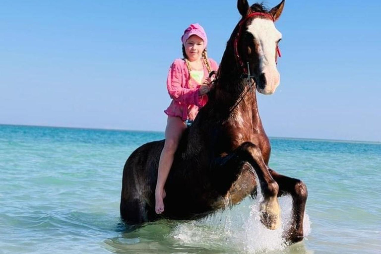 الغردقة: جولة ركوب الخيل في الصحراء والبحر مع خيار السباحةجولة لمدة ساعتين لركوب الخيل بدون السباح