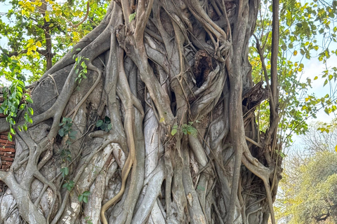 Bangkok: Ayutthaya Afternoon Tour with SunsetBoat Ride Ayutthaya Afternoon Tour with SunsetBoat Ride(Join Trip)