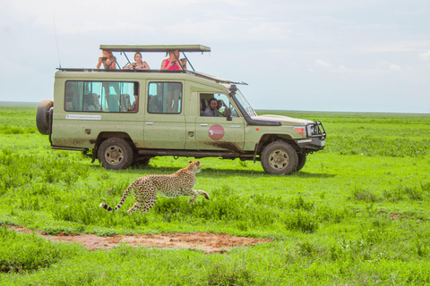 From Arusha: 4-Day Serengeti and Ngorongoro Safari