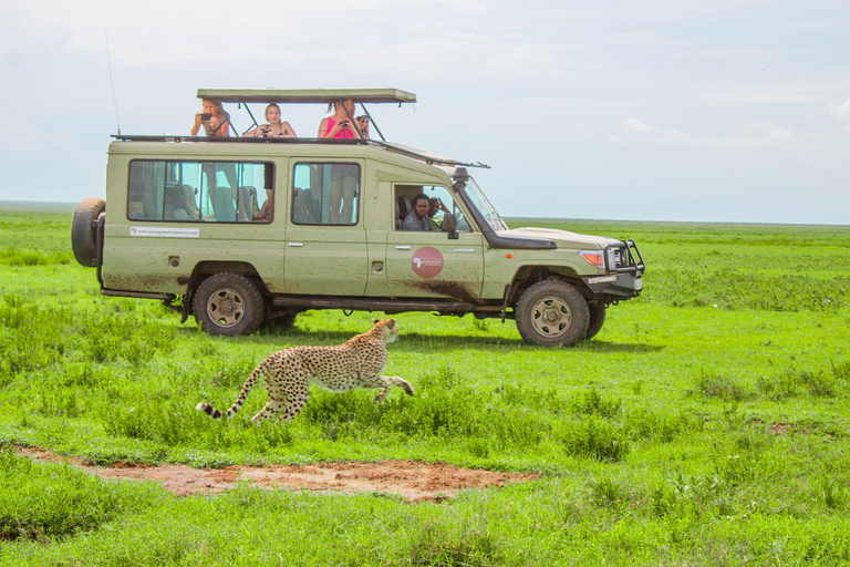 From Arusha: 4-Day Serengeti and Ngorongoro Safari