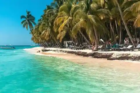 Da Punta Cana: Escursione sull'Isola di Saona