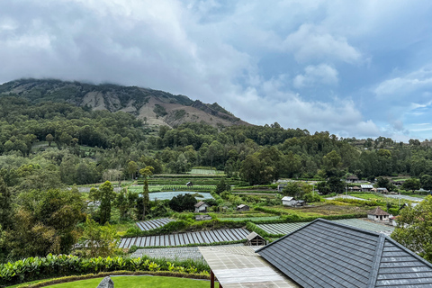 Bali: Mount Batur Sunrise Trek With Guide and BreakfastTour with Transfers