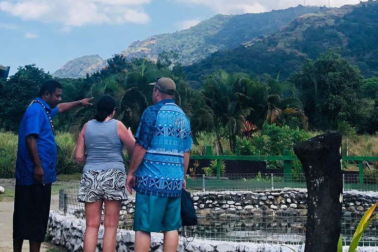 Nadi: Hot Springs and Mud Pools Natural Spa Nadi Hotspring and Mudpool Entry Fee