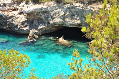 Majorque : Excursion d'une journée à Des Moro, Salmunia et LlombardsDepuis le nord : Mallorca tour Cala Des Moro, Salmunia y Llombard