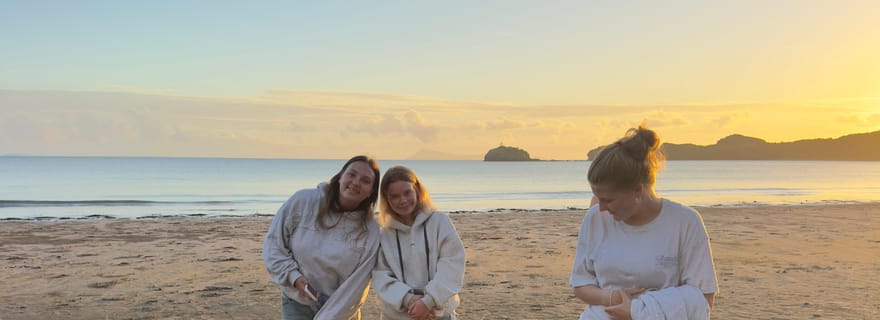 Airlie Beach: eco-tour all'alba con canguri sulla spiaggia