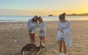  - Canarie.it