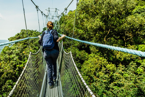 Kigali: 2-Day Nyungwe Canopy Walk, Zipline & Waterfall Tour