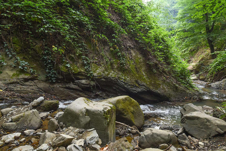 Shamakhi Gabala Hela dagen