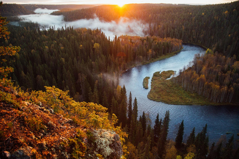 Rovaniemi: Magical Forest Hiking Adventure Tour & BBQ Magical Forest Hiking Adventure Tour & BBQ - Small Group